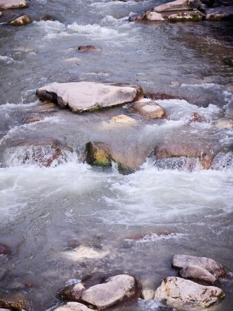 The gentle flow of mountain water, the stillness of stone and th...