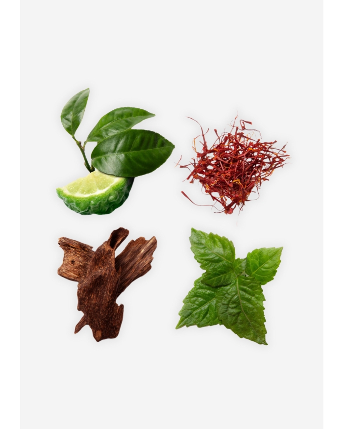 BRIONI Brioni - Eau de Parfum Intense 100ml